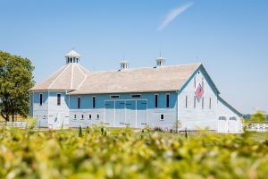 Mikki + Michael - Pretty Prairie Farm Wedding